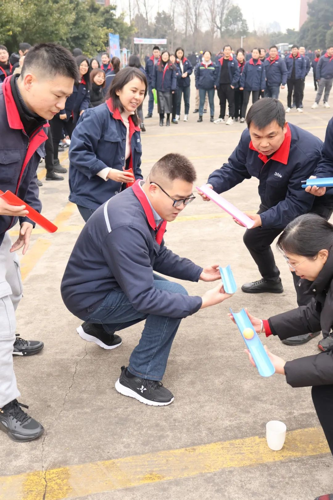 图片24 图片24